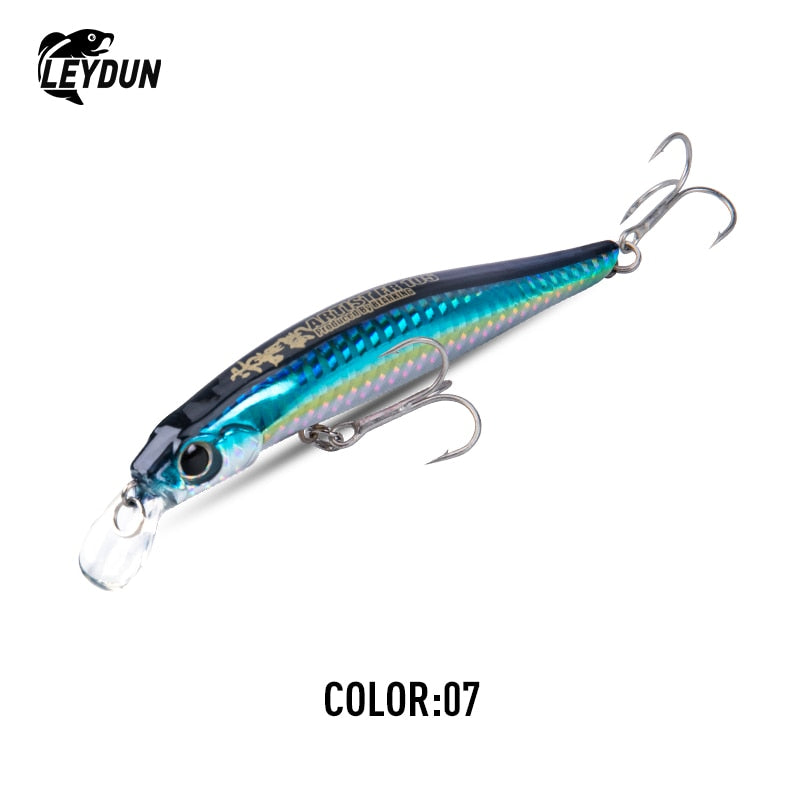 8.5g, 16g Leydun Artist FR Lure For Pike, Perch, Zander, Sea Bass