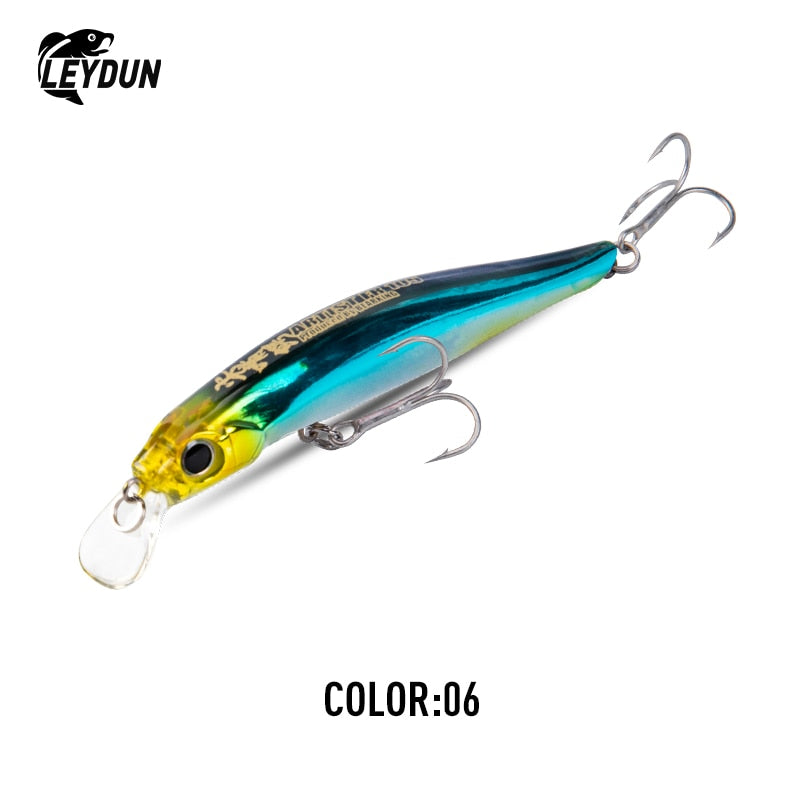 8.5g, 16g Leydun Artist FR Lure For Pike, Perch, Zander, Sea Bass